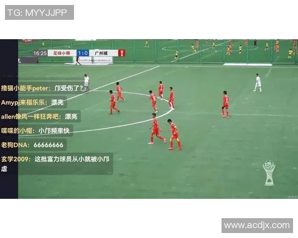 武汉排球队的节奏打法深度解析与战术创新探讨