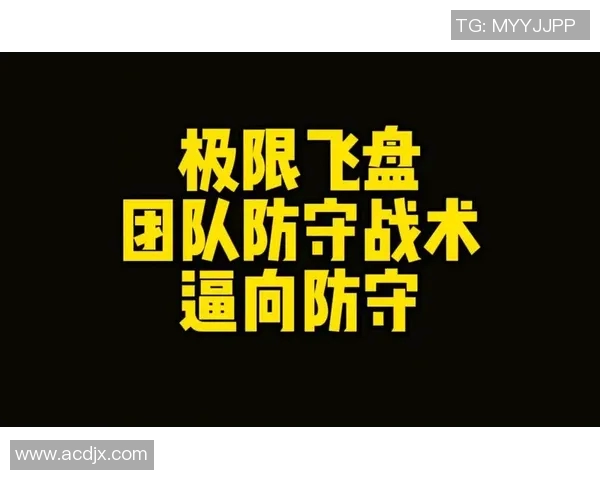 南京飞盘队反击战术解析与实战应用探讨 南京飞盘队反击战术解析与实战应用探讨