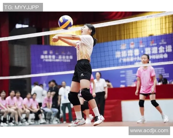 广州排球队的拼搏之路与杯赛荣耀背后的故事 广州排球队的拼搏之路与杯赛荣耀背后的故事